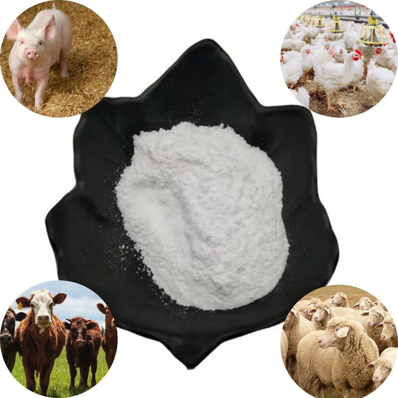 L-Lysine HCL Manufacturer - 98.5% for Fattening Pigs