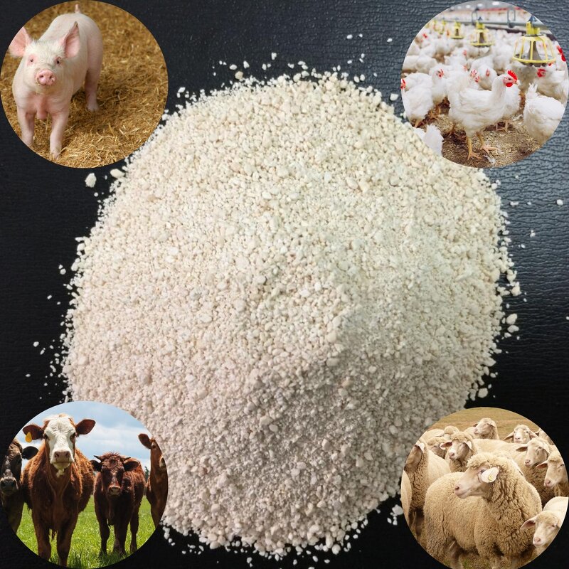 L-Lysine HCL Powder Manufacturer - Professional Feed Grade 98.5%