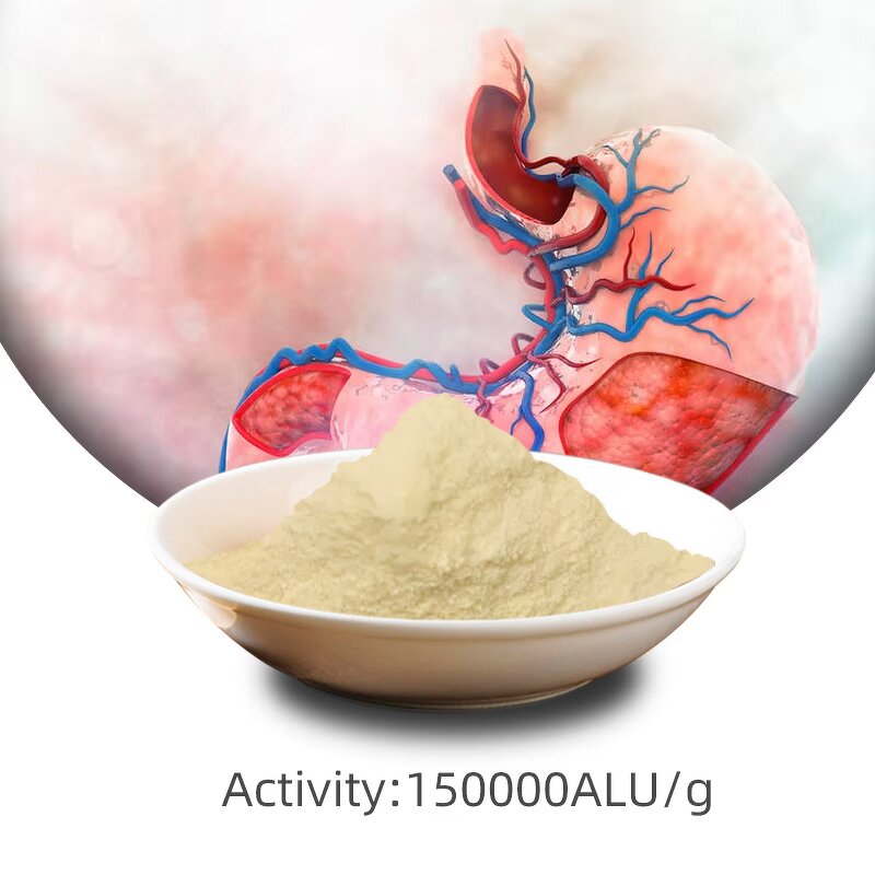 Acid Lactase Powder - 160000ALU/g CAS 9031-11-2 Digestive Aid Enzyme
