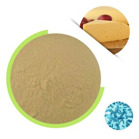 Microbial Rennet Powder - 15000IMCU/g High Activity Chymosin for Soft Cheese