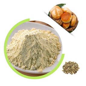 Hemp Protein Powder - 60% Bulk Supply OEM Private Label Service