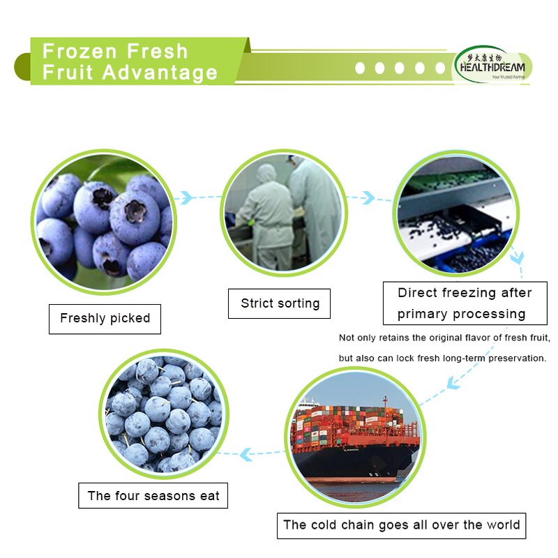 Frozen Blueberry - New Harvested Organic Common IQF Whole Fruit Bulk