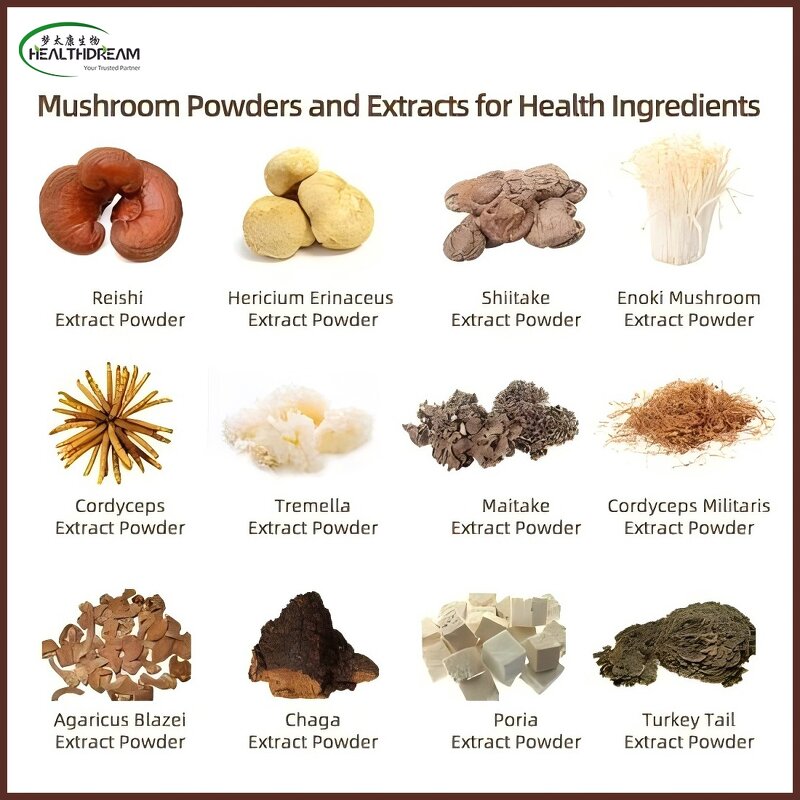 Lion's Mane Extract - 10:1 Organic 30% Polysaccharide 80% Water Soluble