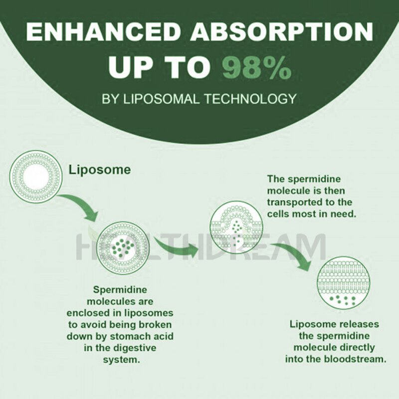 Spermidine Powder - 99% Wheat Germ Liposomes Fermented Food Grade