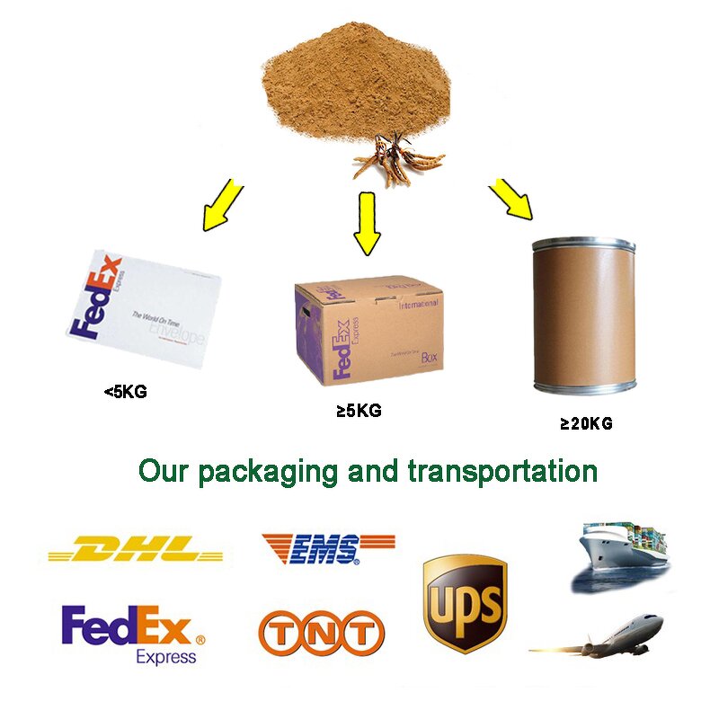 Lion's Mane Extract - Organic 30% Beta Glucan Food Grade 80 Mesh Powder