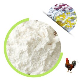 Collagen Type II Powder - Bovine Cartilage Source Health Supplement Ingredient