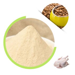 Chicken Seasoning Powder - China ISO Factory Biscuit Flavoring Agent