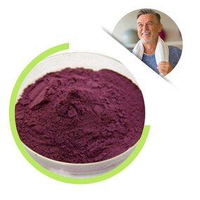 Black Elderberry Extract - 20:1 Food Grade Antioxidant Drum Packed Powder