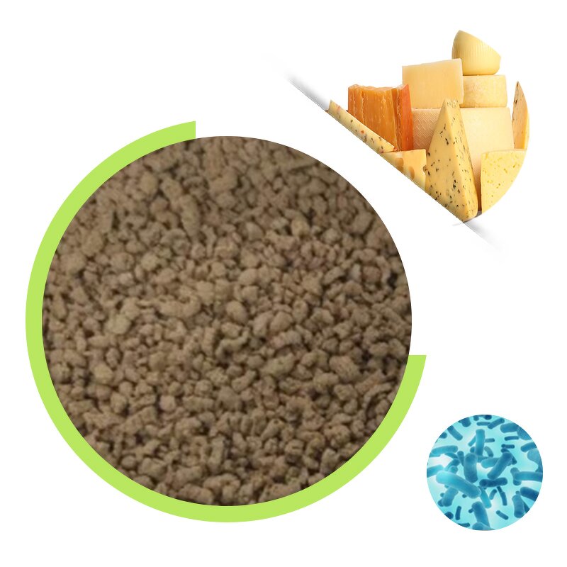 Microbial Rennet Granular - 2250IMCU/g 10 Mesh Vegan Soft Cheese Enzyme