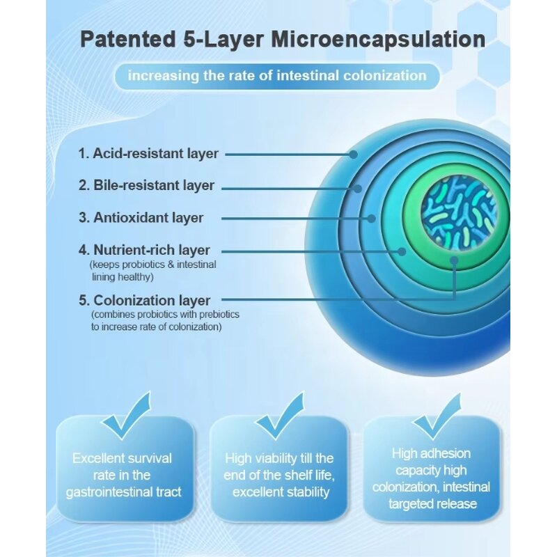 Lactobacillus Plantarum Powder - OEM Custom Blends Bulk Digestive Health Probiotics