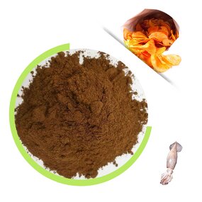 Squid Flavor Powder - Factory Wholesale Dried Squid Protein Seasoning Agent