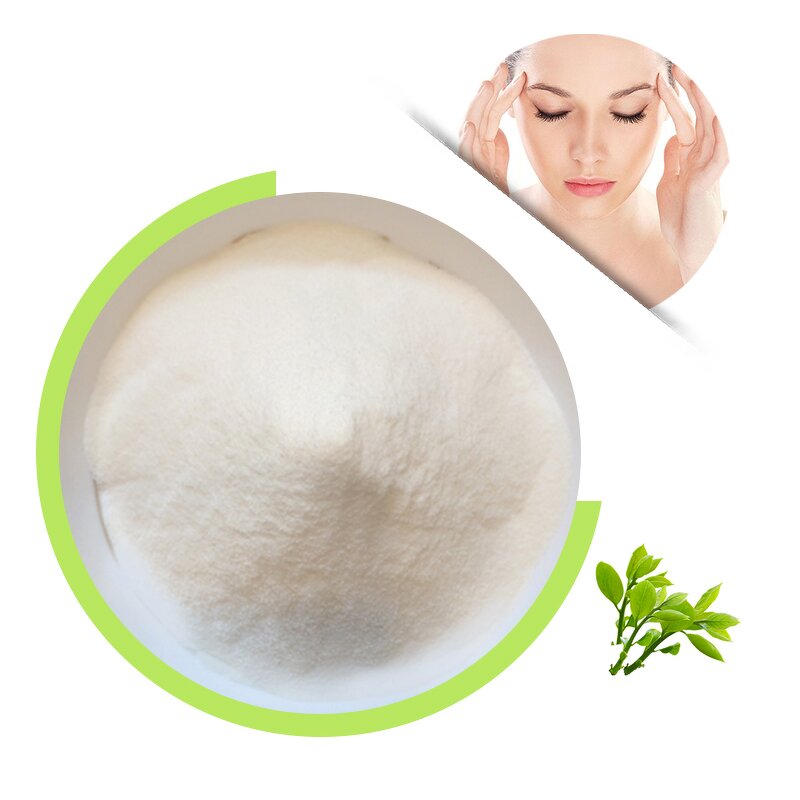 L-Theanine Powder - 99.5% Bulk Tea Extract High EGCG Tea Polyphenol