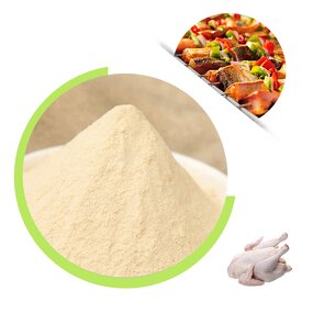 Chicken Flavor Powder - Halal Manufacturer Instant Noodle Seasoning Agent