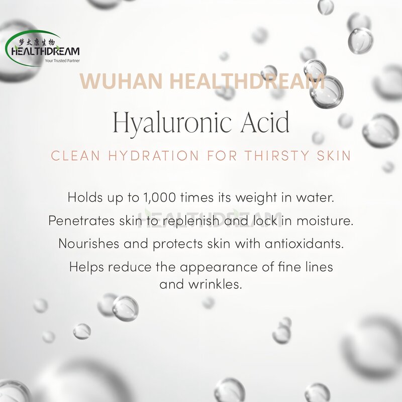 Sodium Hyaluronate - CAS 9067-32-7 Food Cosmetics Grade Hyaluronic Acid