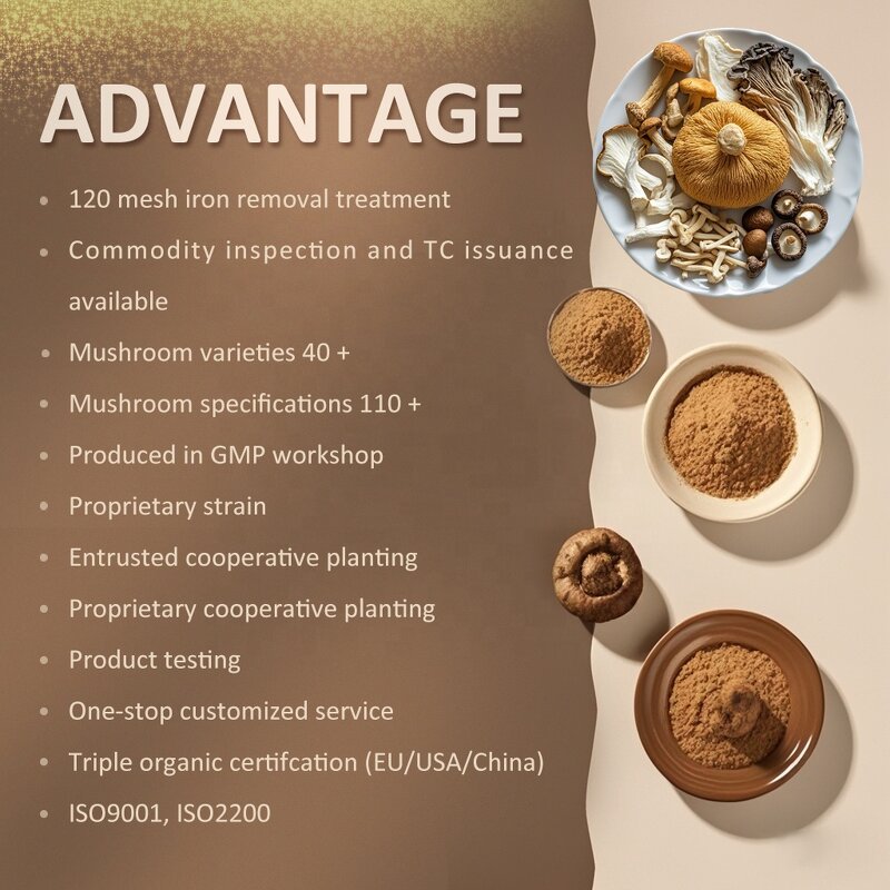 Coriolus Versicolor Extract - 30% Polysaccharides Organic Turkey Tail Powder