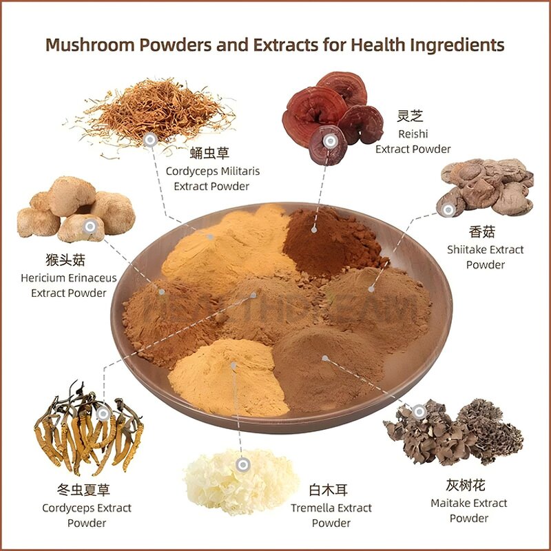 Mushroom Extract Blend - OEM Organic 12 in 1 Mixed Powder Supplement