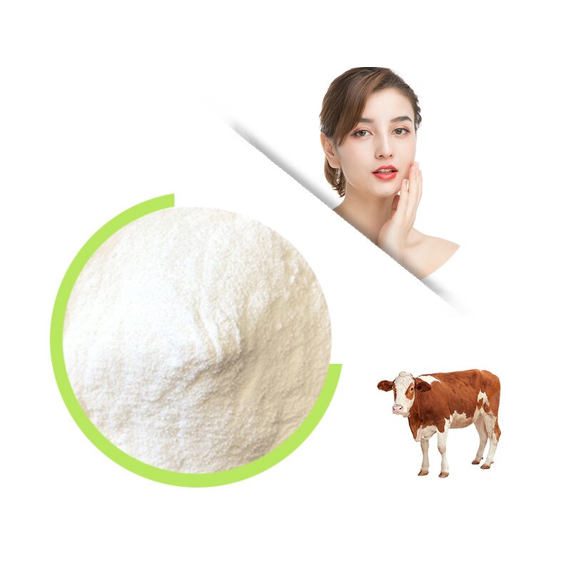 Bovine Collagen Powder - Halal Hydrolyzed Food Grade Nutritious Supplement
