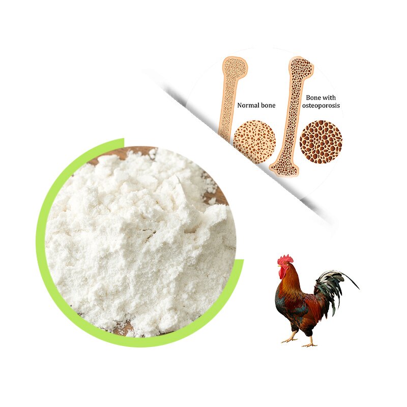 Chicken Collagen Type II - High Purity Free Sample Bulk Protein Powder