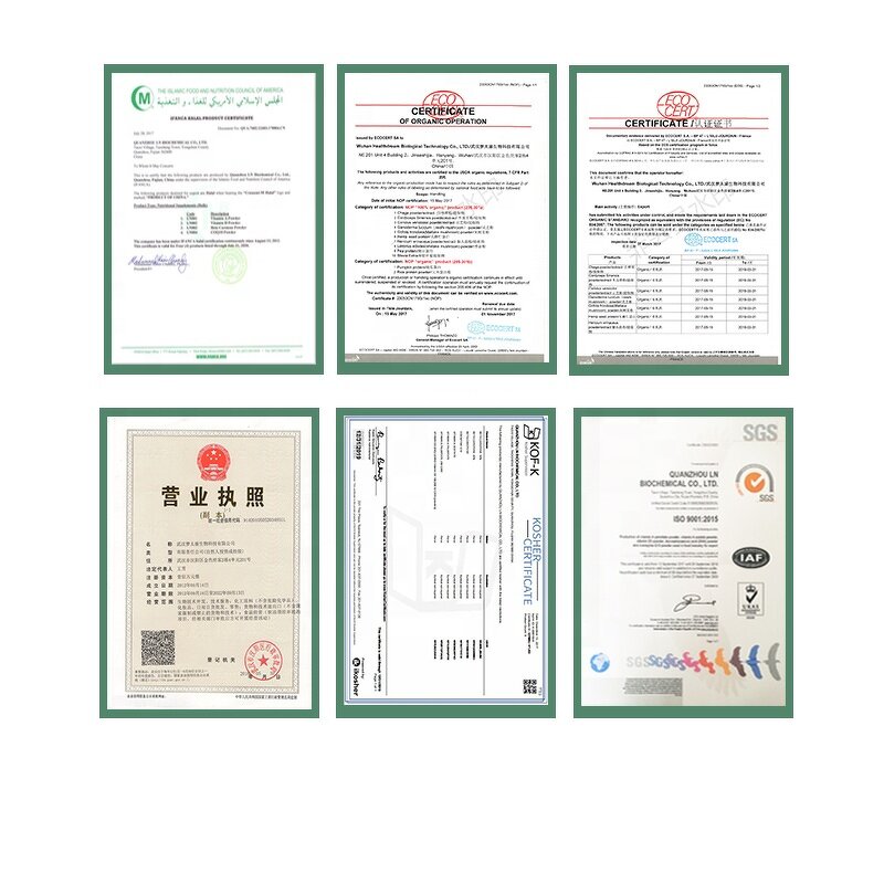 Sodium Ascorbate Powder - Bulk Vitamin C Food Grade Nutrition Enhancer