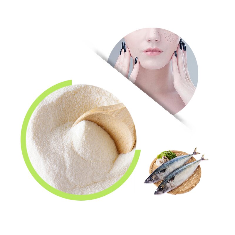 Marine Collagen Peptide - ISO Edible Hydrolyzed Fish Protein Powder