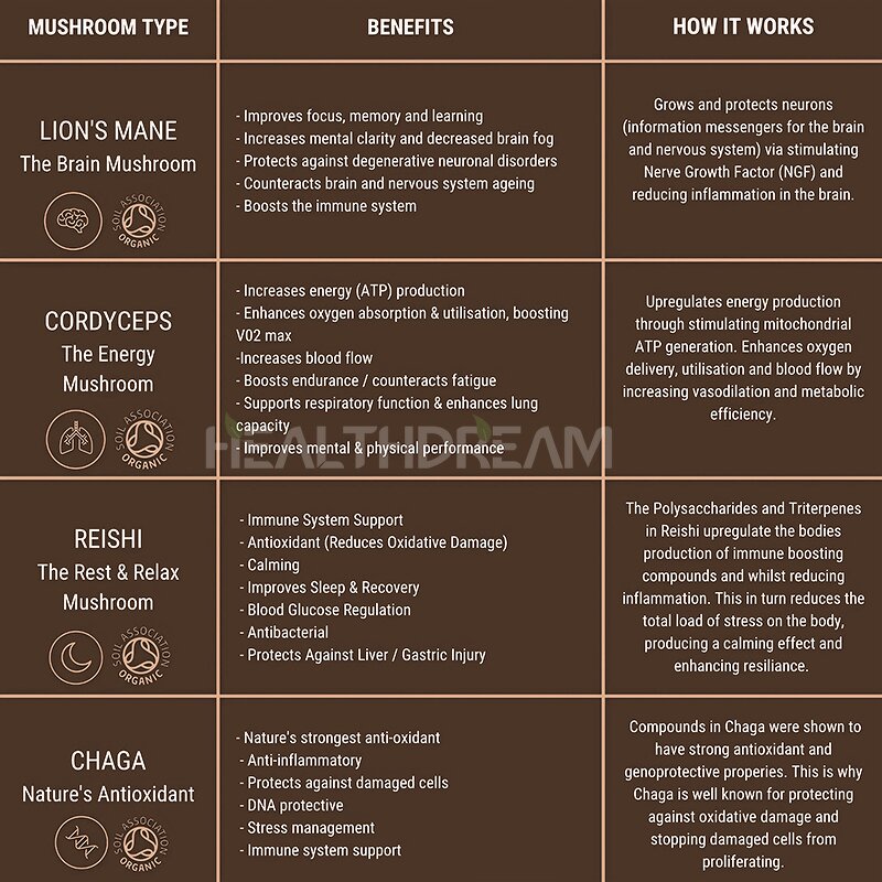 Lion's Mane Extract - 10:1 Organic 30% Polysaccharide 80% Water Soluble