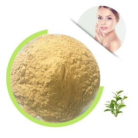 Green Tea Extract - 20% 30% Natural L-Theanine Herbal Powder