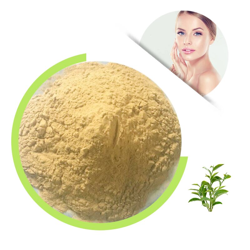 Green Tea Extract - 20% 30% Natural L-Theanine Herbal Powder