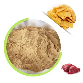 Beef Seasoning Powder - Free Sample China Manufacturer Functional Food Additive