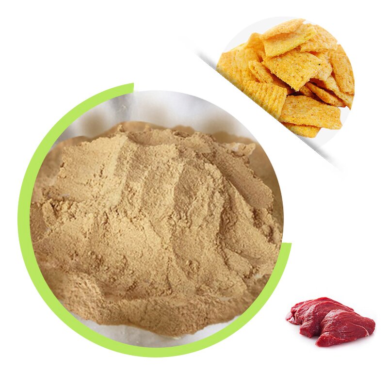 Beef Seasoning Powder - Free Sample China Manufacturer Functional Food Additive