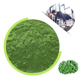 Chlorella Vulgaris Powder - Organic China Supplier Human Healthcare Grade