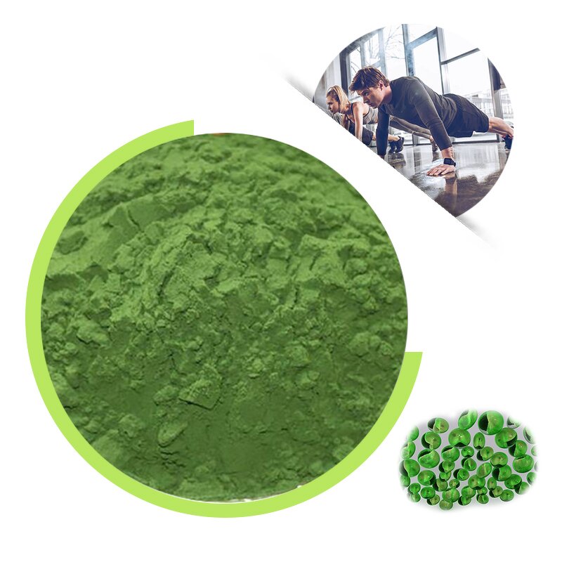 Chlorella Vulgaris Powder - Organic China Supplier Human Healthcare Grade