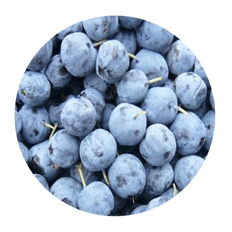Frozen Blueberry - New Harvested Organic Common IQF Whole Fruit Bulk