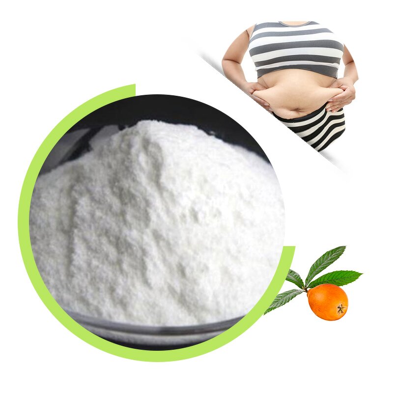 Loquat Leaf Extract - Corosolic Acid Rich Herbal Powder Supplement