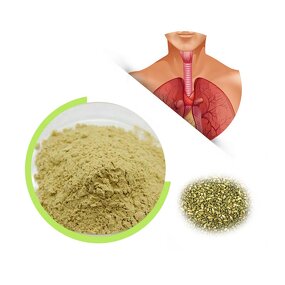 Quercetin Anhydrous - 95% Food Grade Nutrition Enhancer Expectorant Powder