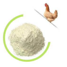 Chicken Cartilage Collagen - Type 2 100% Pure OEM Health Supplement Powder
