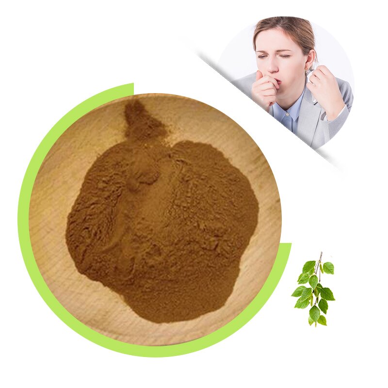 Betula Alba Powder - Wholesale Birch Leaf Food Raw Material China Supplier