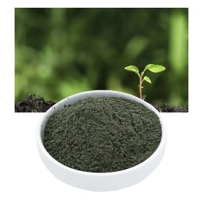 Trichoderma Harzianum Powder - Microbial Fertilizer Soil-borne Diseases Control