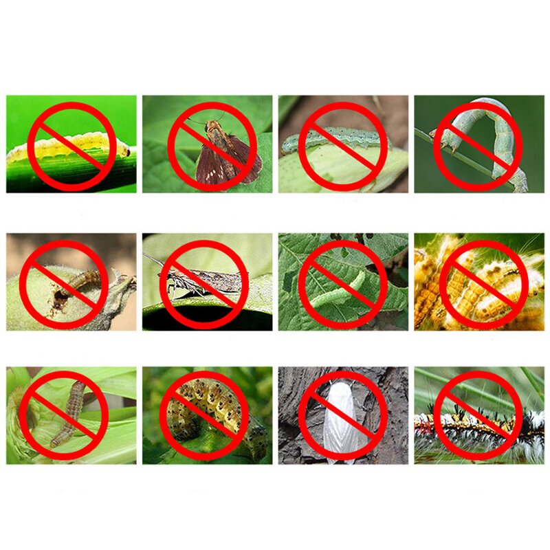 Bacillus Thuringiensis Aizawai Bta - Bt Powder Organic Farming Insecticidal