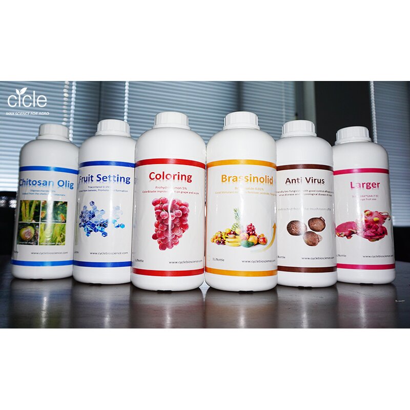 Lentinan Bio Fungicide - Tomato Virus Disease Resistance Inducer Fungous Proteoglycan