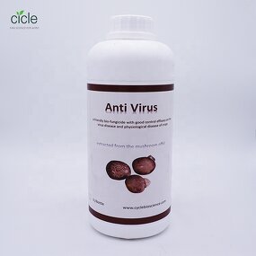 Lentinan Bio Fungicide - Tomato Virus Disease Resistance Inducer Fungous Proteoglycan