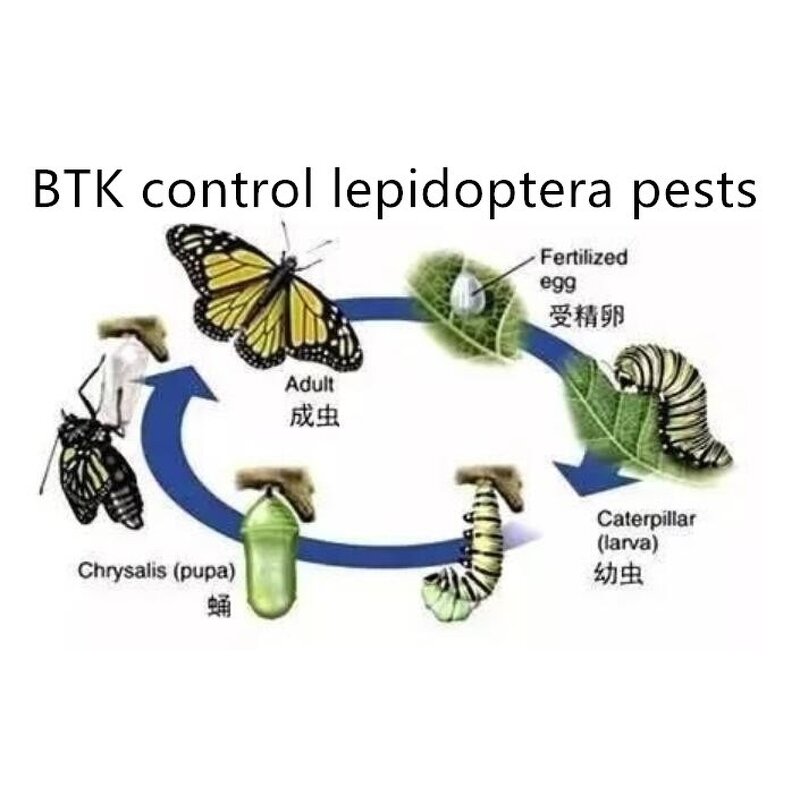 Bacillus Thuringiensis Kurstaki BTK - Bt CAS 68038-71-1 Lepidoptera Pesticide