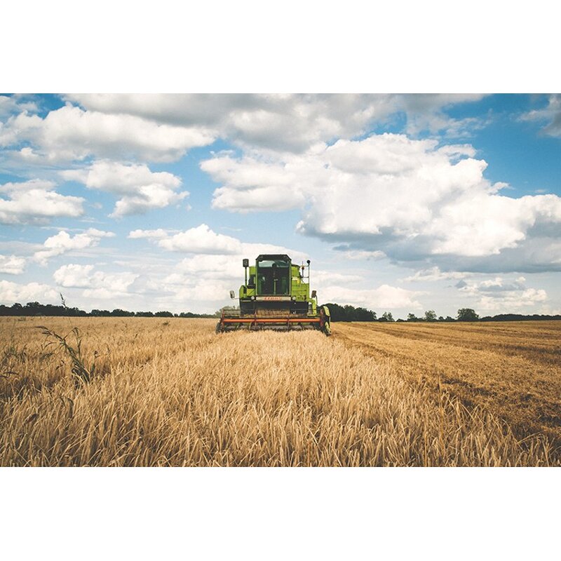 Urease Inhibitor NBPT - 97% CAS 94317-64-3 Add Fertilizer Synergist