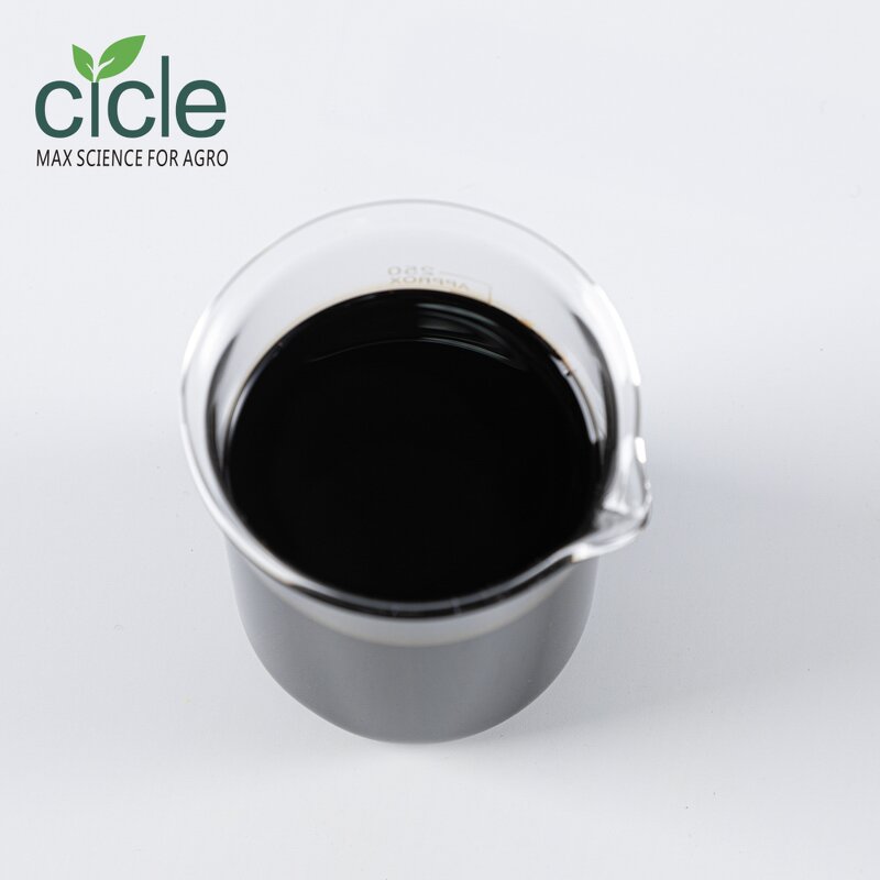 Lentinan Bio Fungicide - Tomato Virus Disease Resistance Inducer Fungous Proteoglycan