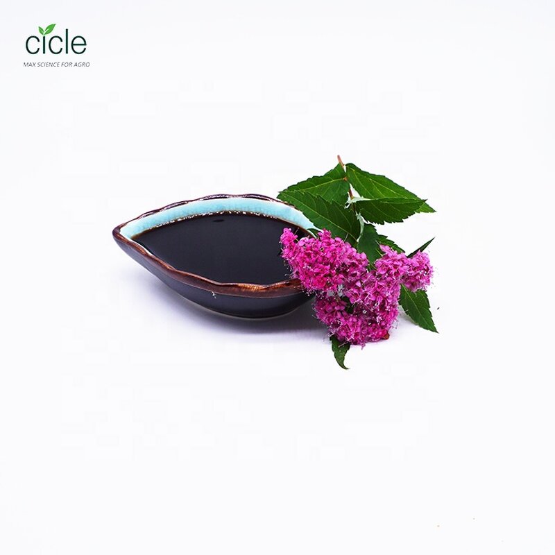 EDDHA Fe 6% Fertilizer - Factory Price Stable pH 4-10 Iron Micronutrient