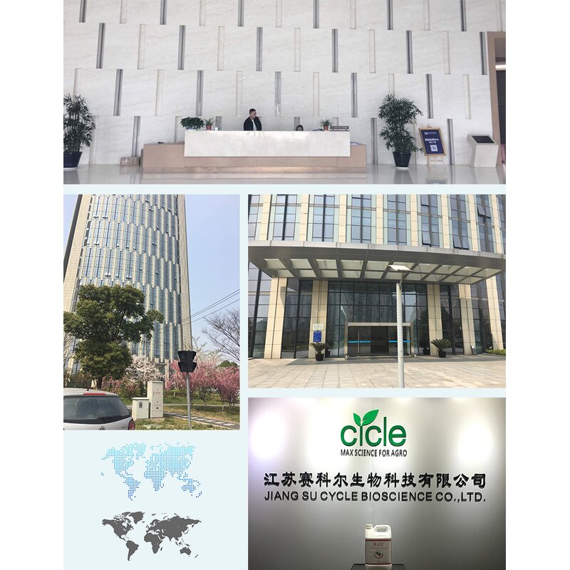 Salicylic Acid - 99% TC Fruit Anti-cracking Sample Available