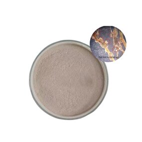 Paecilomyces Lilacinus - Biological Pesticide Nematodes Control Better Than Chemical