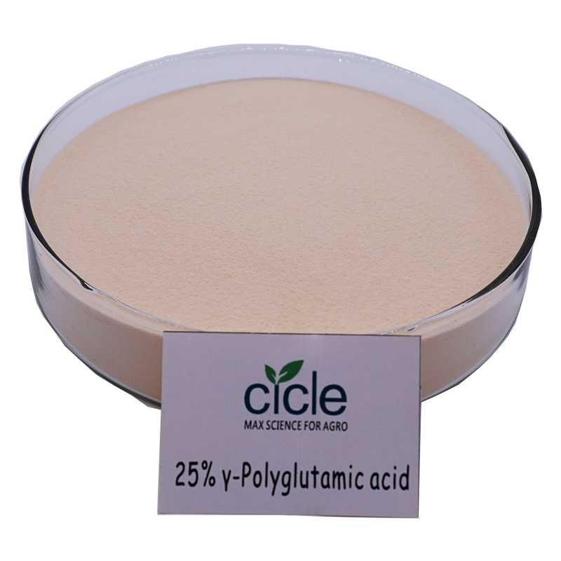 Polyglutamic Acid PGA - Fertilizer Synergist Rice Wheat Corn Bean Fruit