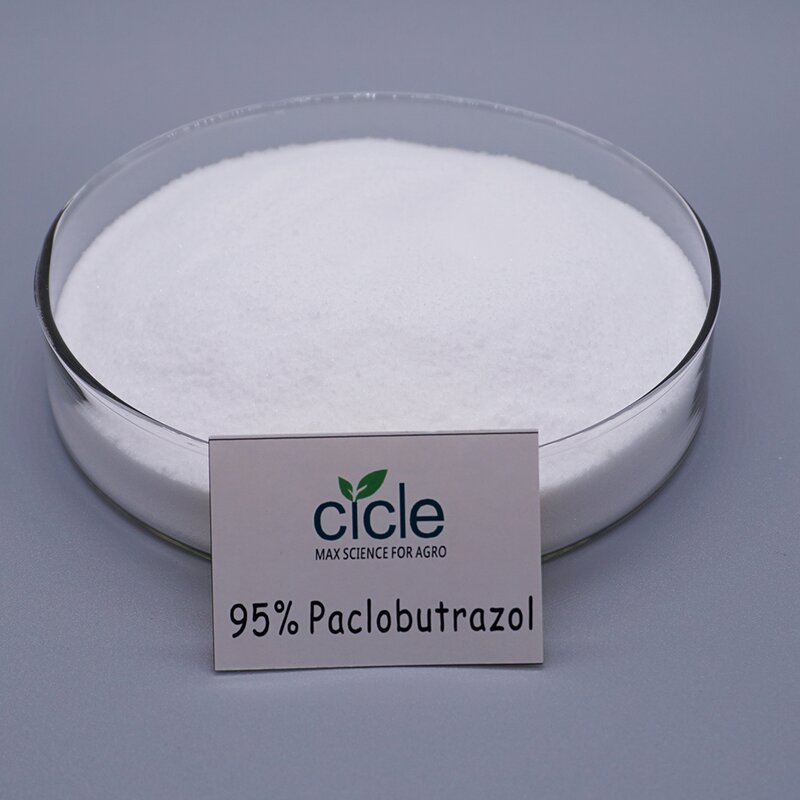 Paclobutrazol PP333 PBZ - 95% TC Plant Growth Regulator for Agriculture