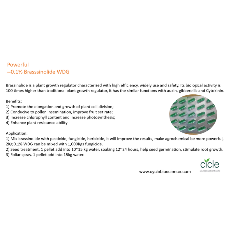 28-Homo-brassinolide - 0.1% DF New Tech Relieve Agrochemical Hazards