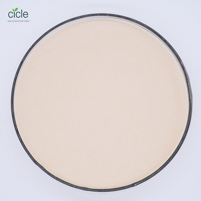 Compound Amino Acid Powder - 80% Plant Source Stable Organic Fertilizer